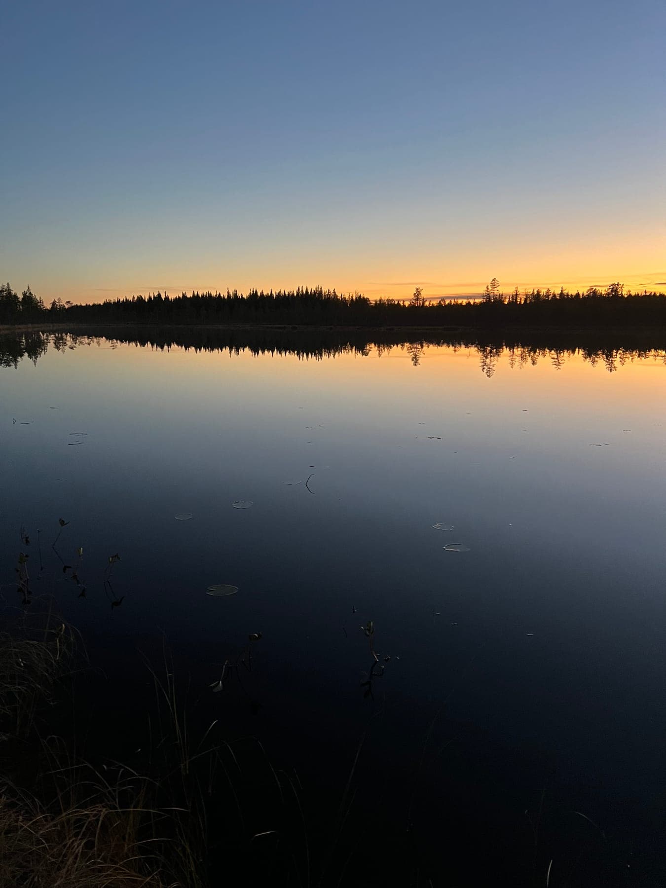 Sjön en halv kilometer från campen i kvällsljus