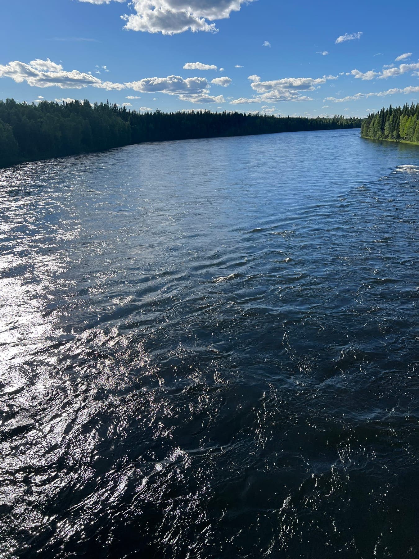 Bred strömmande älv i djupblått med skogsklädda stränder